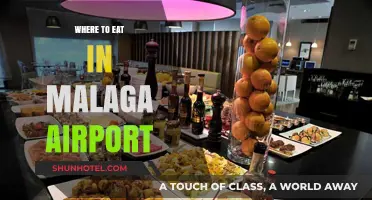 Malaga Airport's Best Dining Options