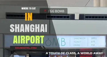 Shanghai Airport's Best Dining Options