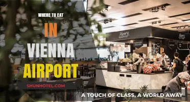 Dining Options at Vienna Airport: A Quick Guide