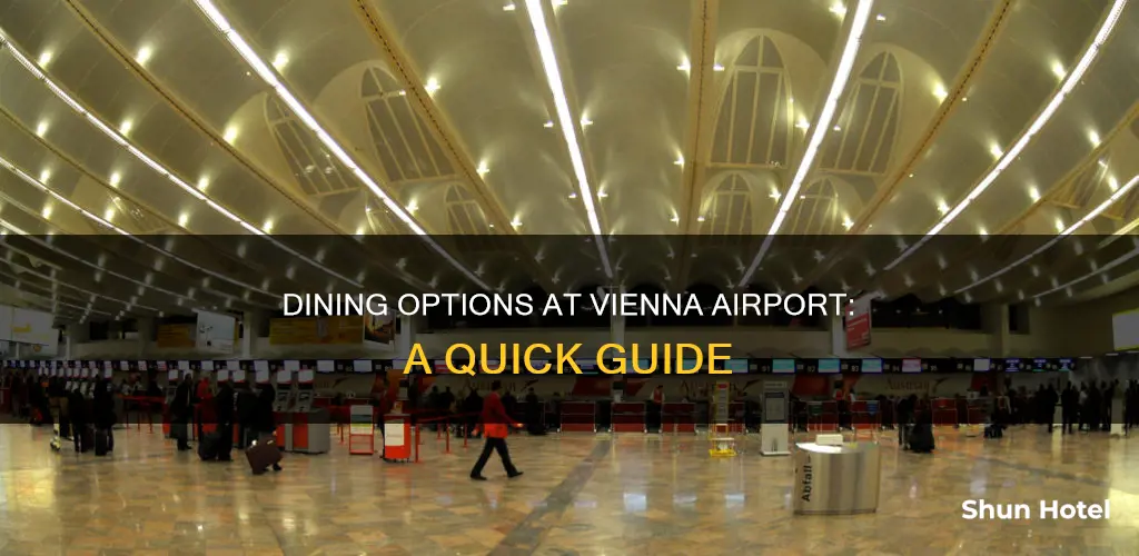 where to eat in vienna airport
