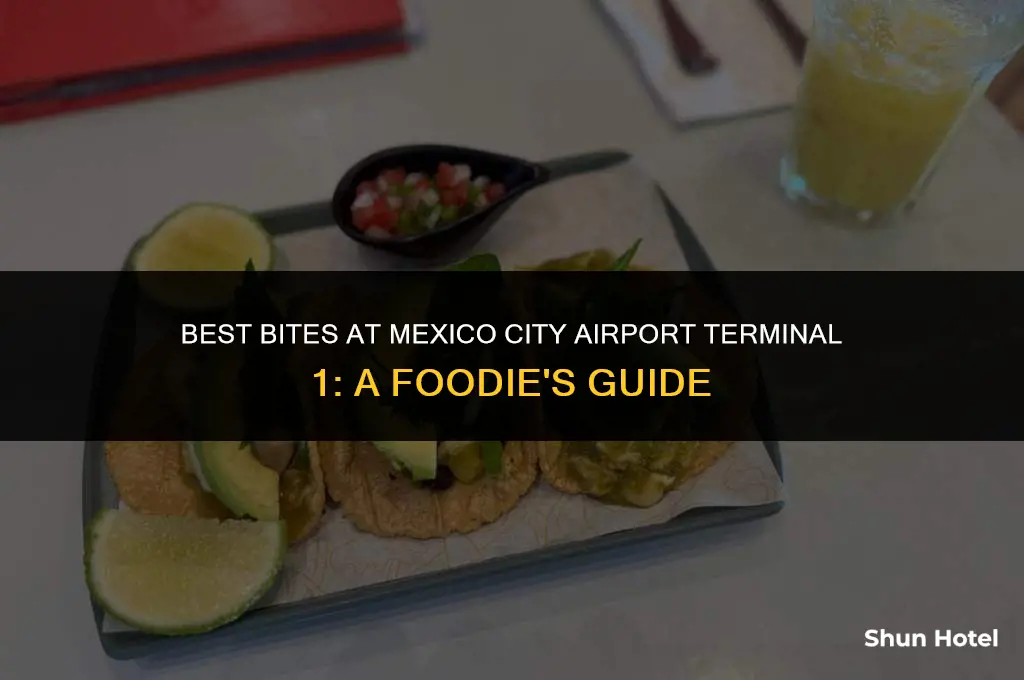 where to eat mexico city airport terminal 1