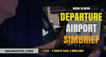 SimBrief Departure Airport: How to Enter It