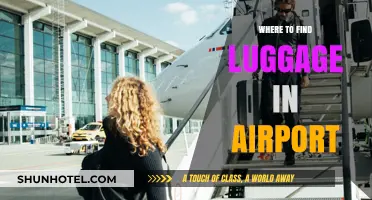 Locate Your Luggage: Navigating Airport Baggage Claim Like a Pro