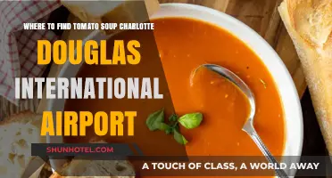 Tomato Soup at Charlotte Douglas: A Traveler's Guide to Finding Comfort