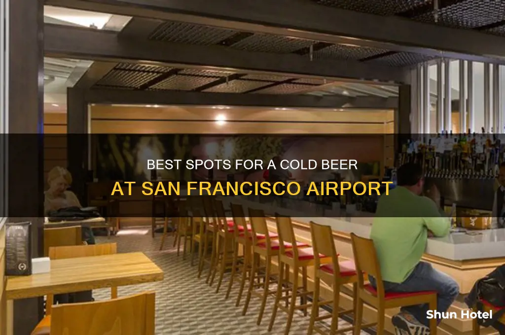 where to get a beer in san francisco airport