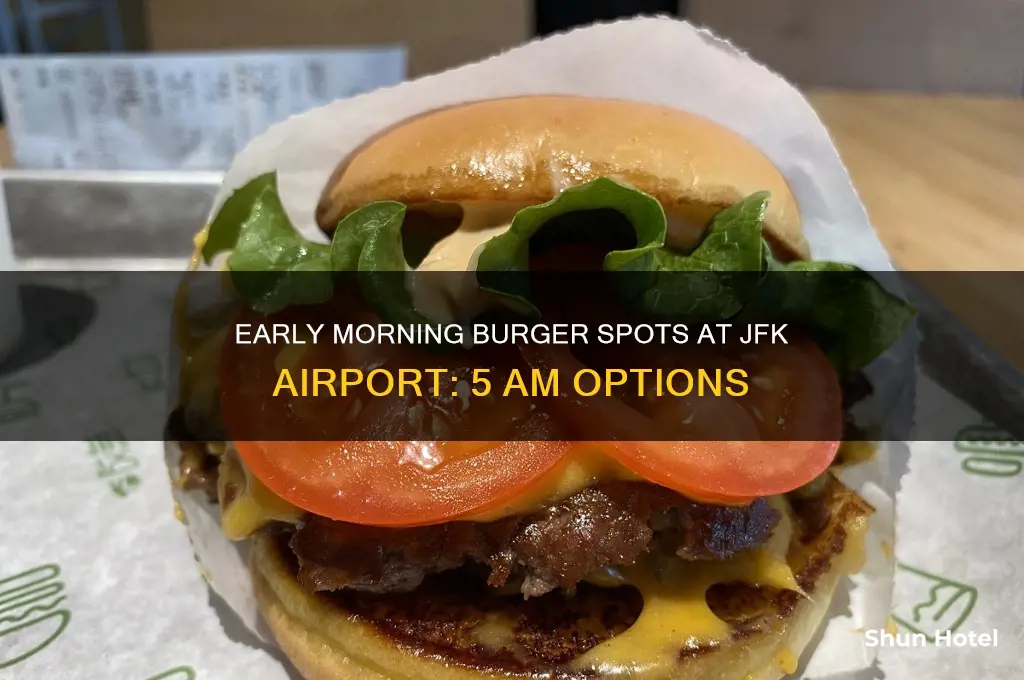 where to get a burger jfk airport 5 am
