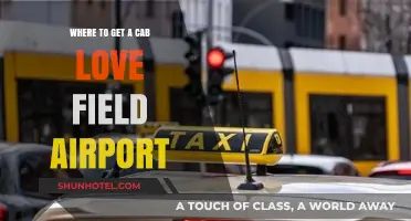Easy Cab Options from Love Field Airport: Your Ultimate Guide