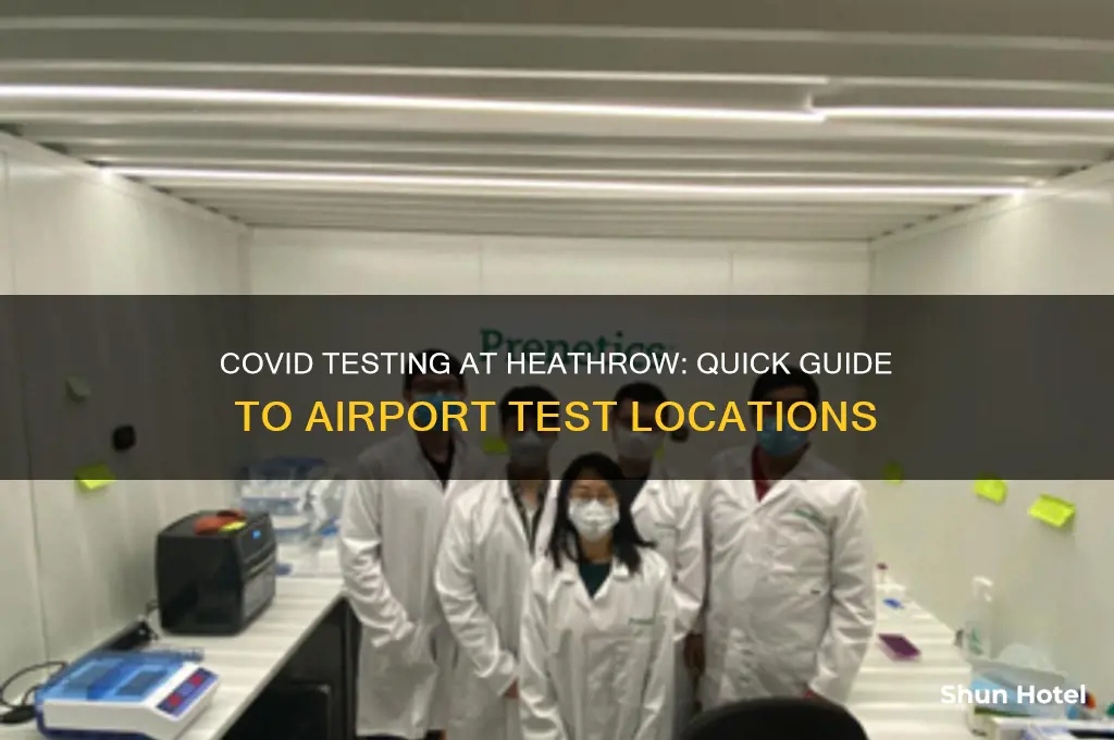 where to get a covid test at heathrow airport