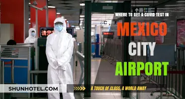 COVID Testing at Mexico City Airport: Locations and Quick Guide