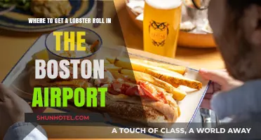 Best Lobster Roll Spots at Boston Airport: A Quick Guide