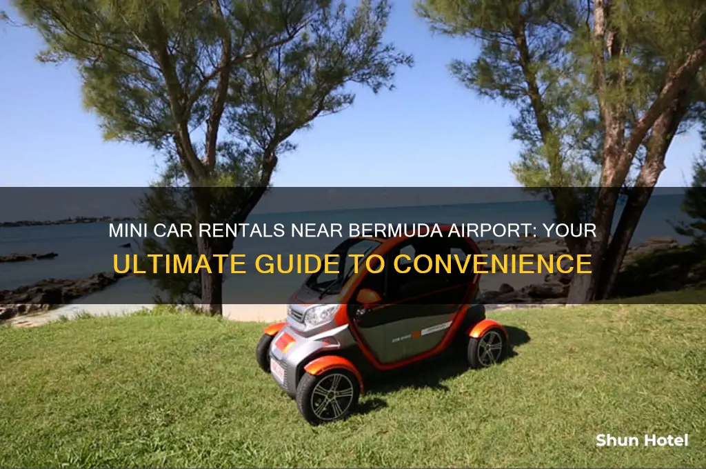 where to get a mini car near bermuda airport