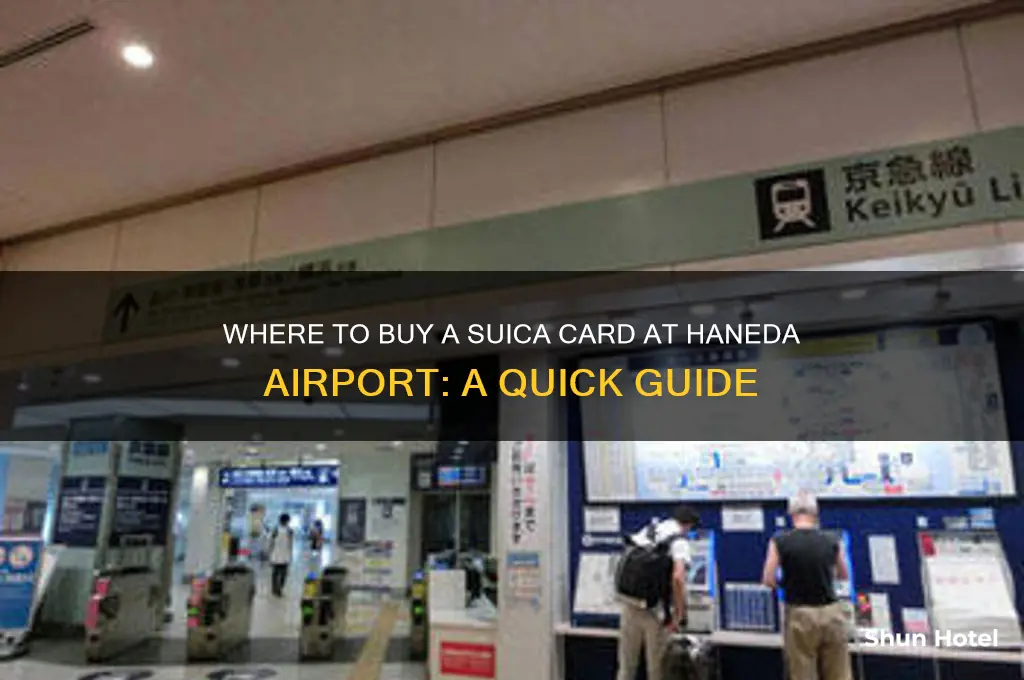 where to get a suica card in haneda airport