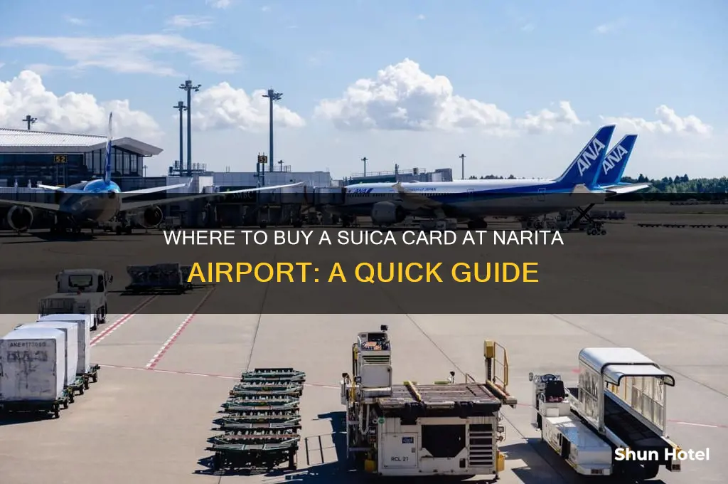 where to get a suica card in narita airport