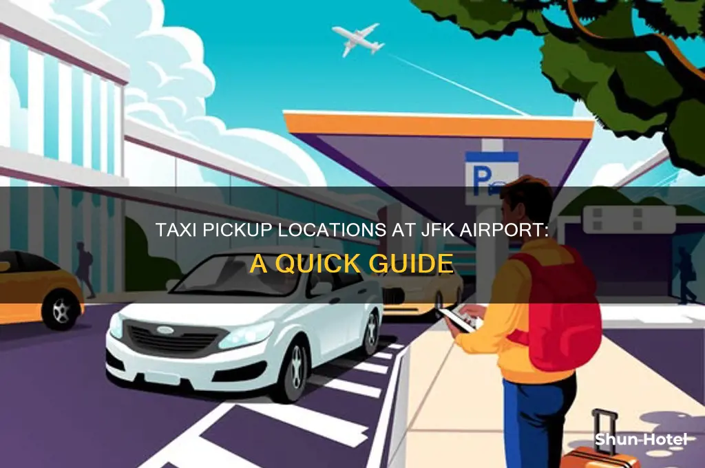 where to get a taxi at jfk airport