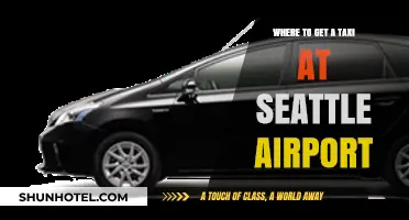 Seattle Airport Taxi Guide: Best Pickup Locations for Travelers