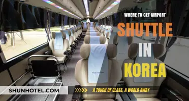 Best Airport Shuttle Services in Korea: Convenient Travel Options