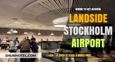 Best Landside Alcohol Shopping Spots at Stockholm Airport Guide