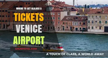 Venice Airport Alilaguna Ticket Guide: Where to Buy and Tips