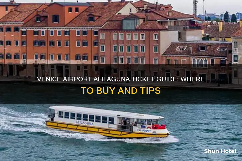 where to get alilagu a tickets venice airport