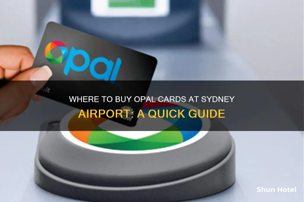 where to get an opal card at sydney airport