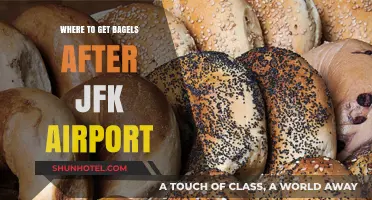 Best Bagel Spots Near JFK Airport for a Quick Bite