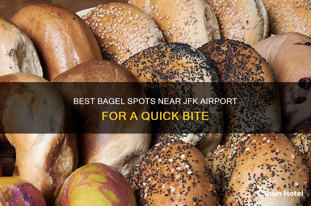 where to get bagels after jfk airport