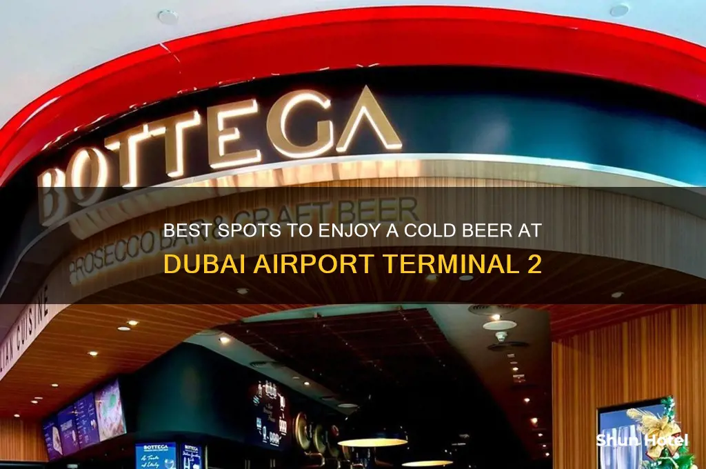 where to get beer in dubai airport terminal 2