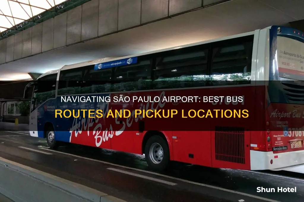 where to get bus at sao paulo airport