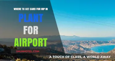 Best Places to Get Your HIP Plant Airport Card Easily