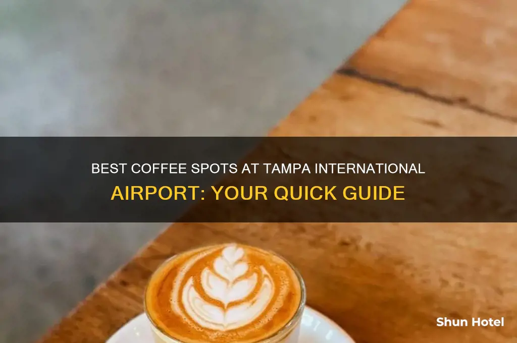 where to get coffee at tampa international airport