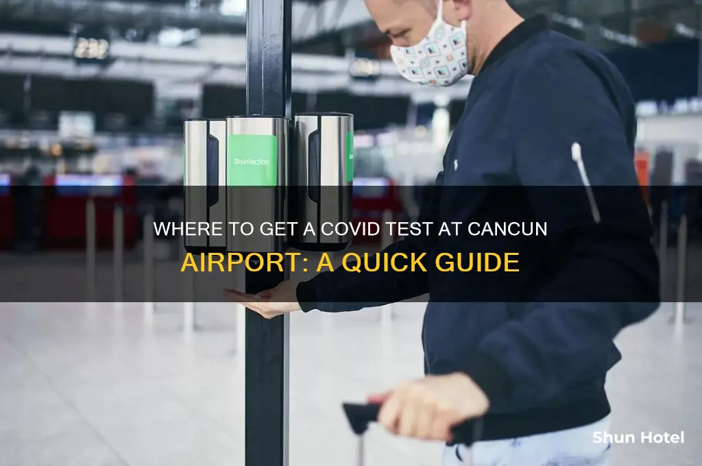 where to get covid test cancun airport