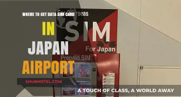 Best Places to Buy Data SIM Cards at Japan Airports