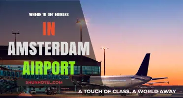 Amsterdam Airport Edibles Guide: Best Spots to Find Cannabis Treats