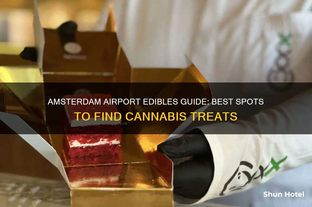where to get edibles in amsterdam airport