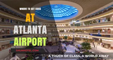 Atlanta Airport Egg Hunt: Top Spots for Fresh Eggs on the Go