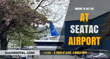 Where to Find Ice at SeaTac Airport: Quick and Easy Locations