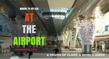 Where to Find Ice at the Airport: Quick and Easy Tips