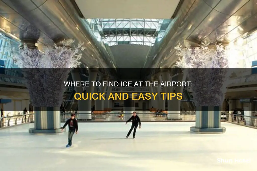 where to get ice at the airport