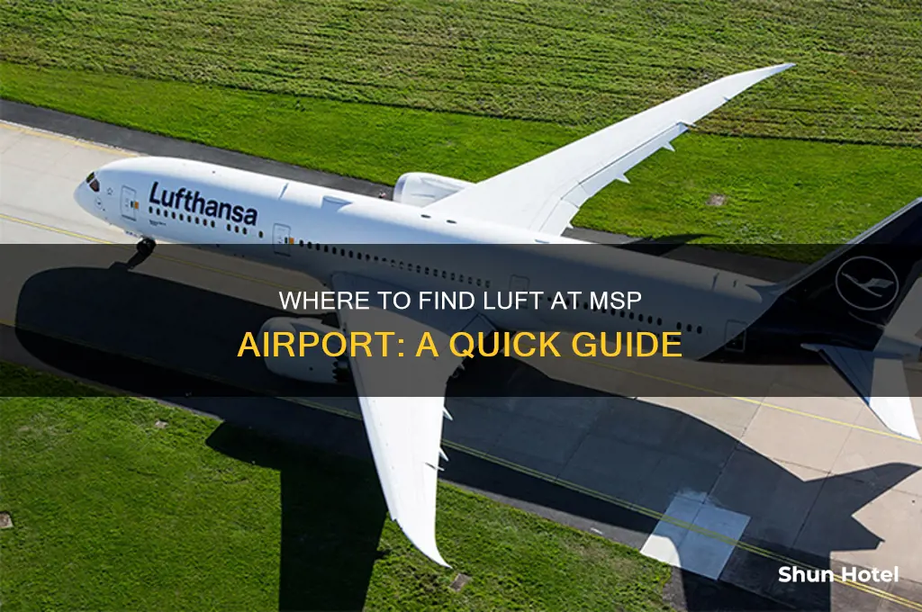 where to get luft at msp airport