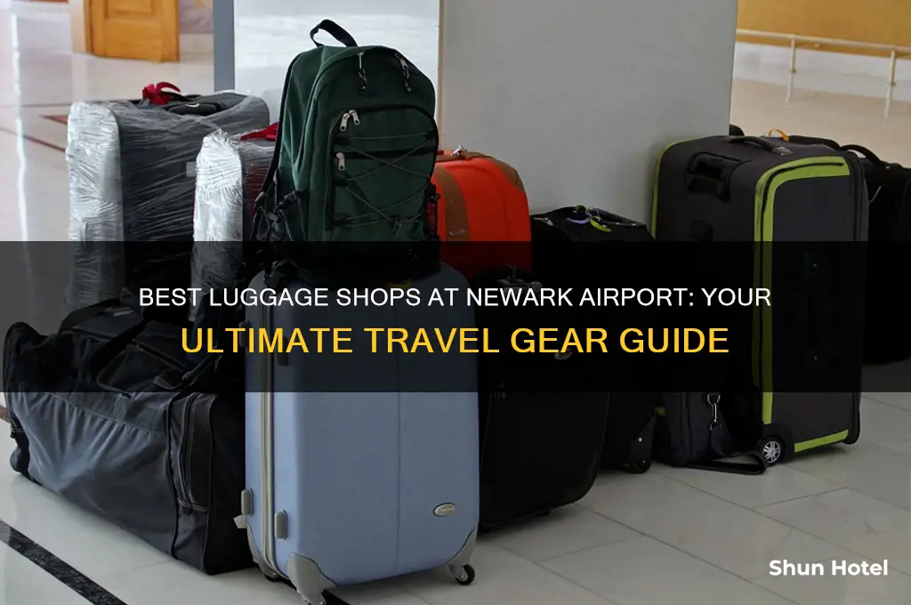 where to get luggage in newark airport
