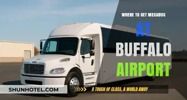 Buffalo Airport Megabus Stop: Easy Access and Location Guide
