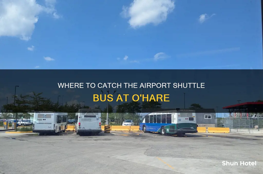 where to get on airport shuttle buss at ohare