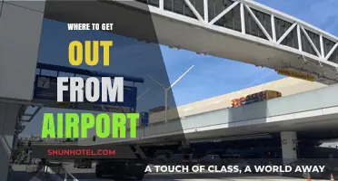 Easiest Ways to Exit the Airport and Reach Your Destination