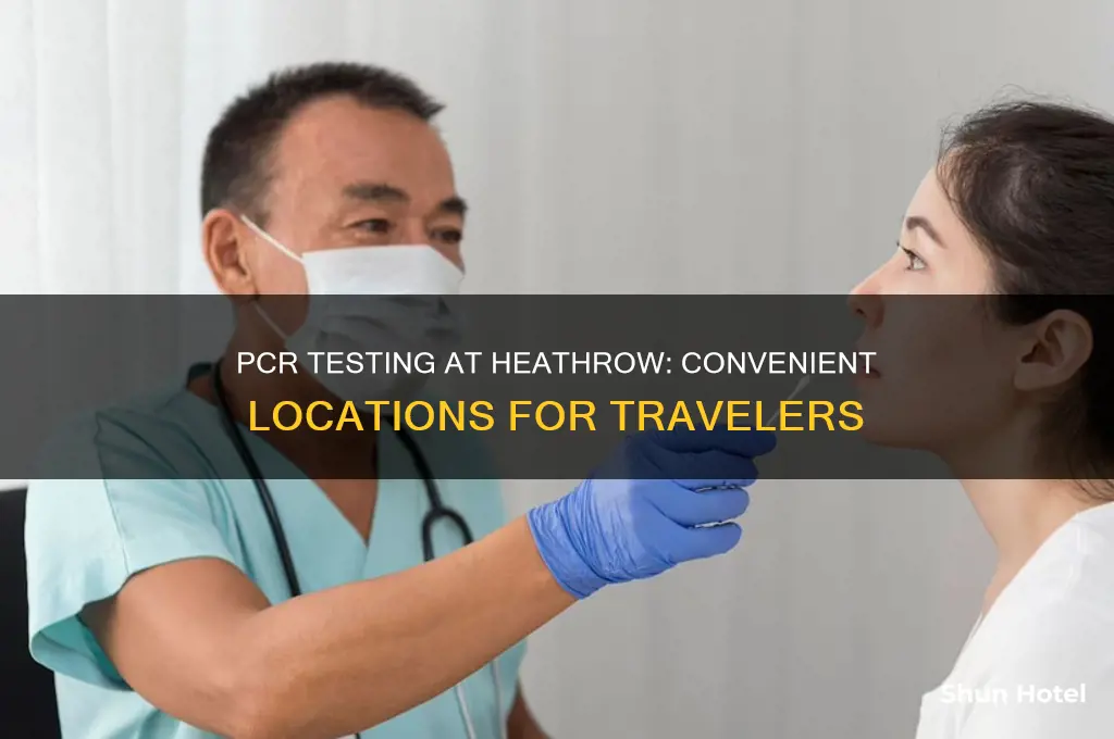 where to get pcr test at heathrow airport