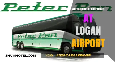 Peter Pan Bus Pickup Locations at Boston Logan Airport Guide