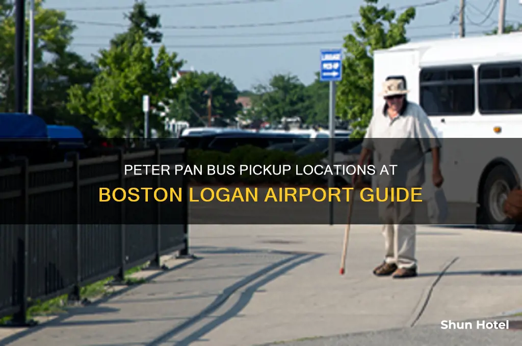 where to get peter pan bus at logan airport