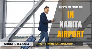 Pocket WiFi at Narita Airport: Best Rental Spots for Travelers