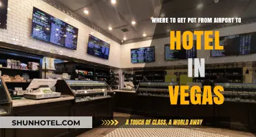 Vegas Airport to Hotel: Best Cannabis Dispensary Stops Guide