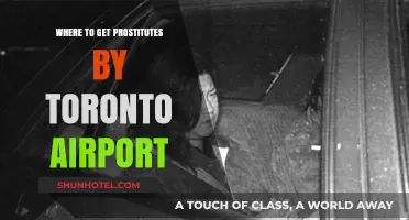 Toronto Airport Area: Locating Adult Services and Entertainment Options