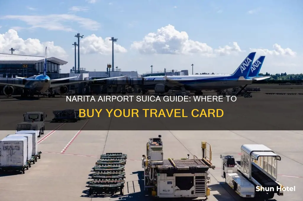 where to get suica at narita airport